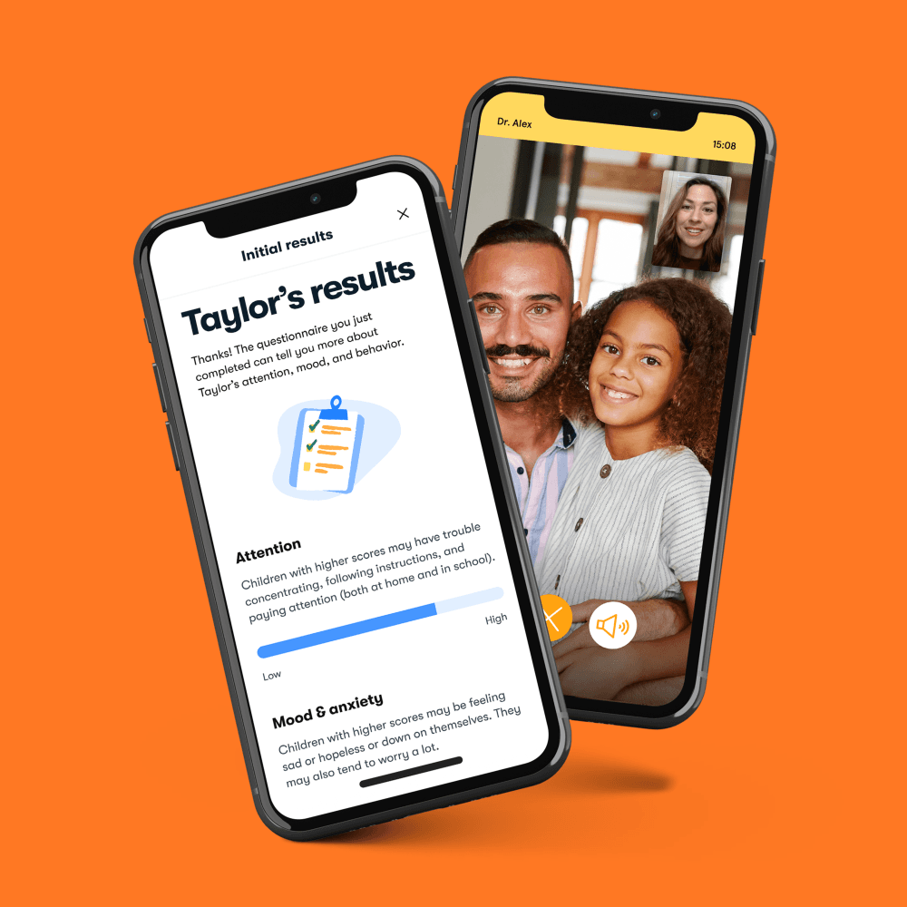 Brightline website on iPhone
