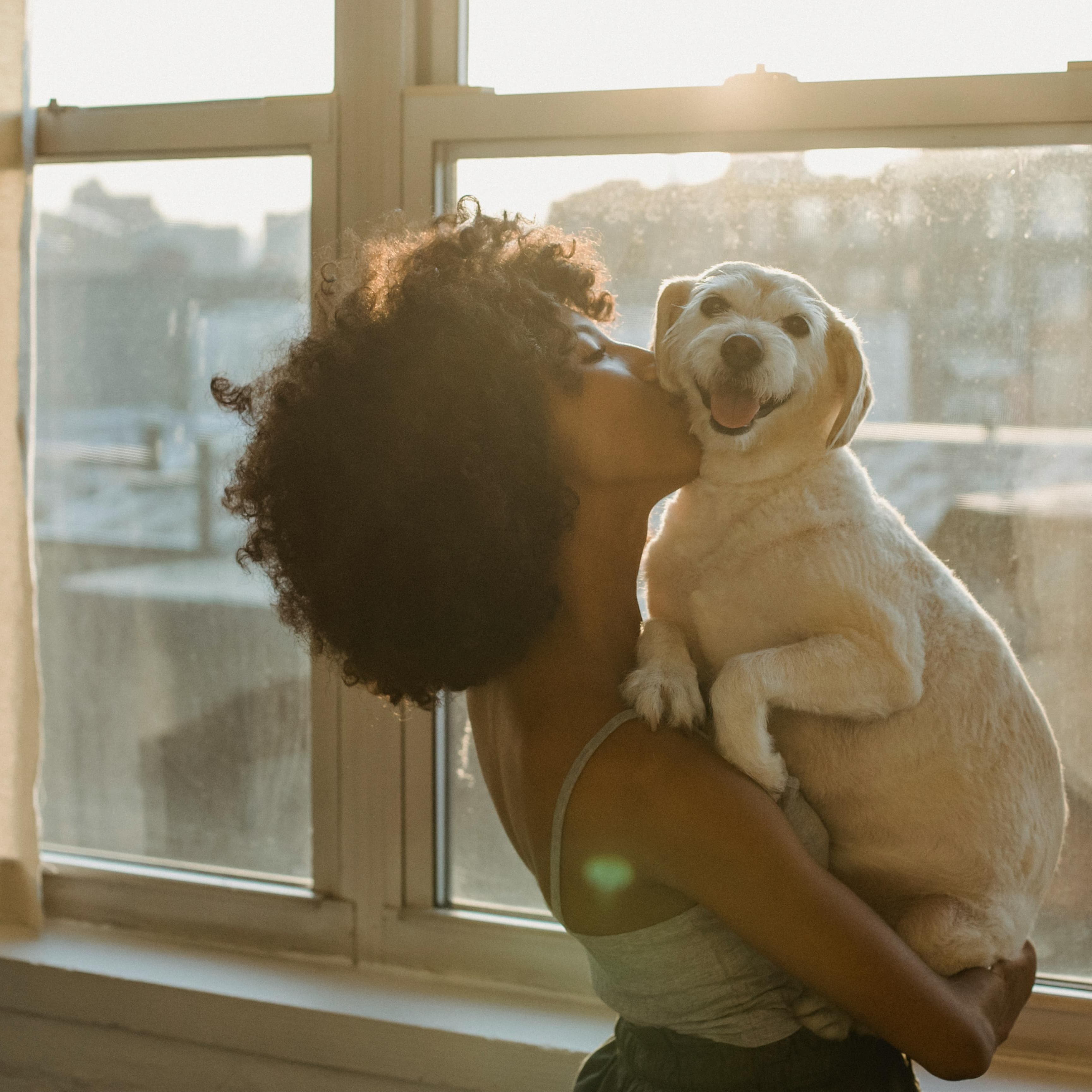 Woman in tank top standing by window with city view holding and kissing a small, happy dog