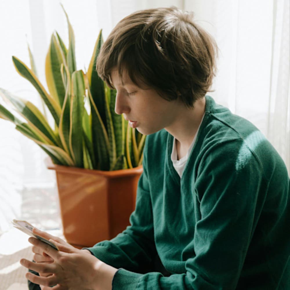 Middle school age boy sitting crosslegged looking at cards, next to a plant, in front of windows