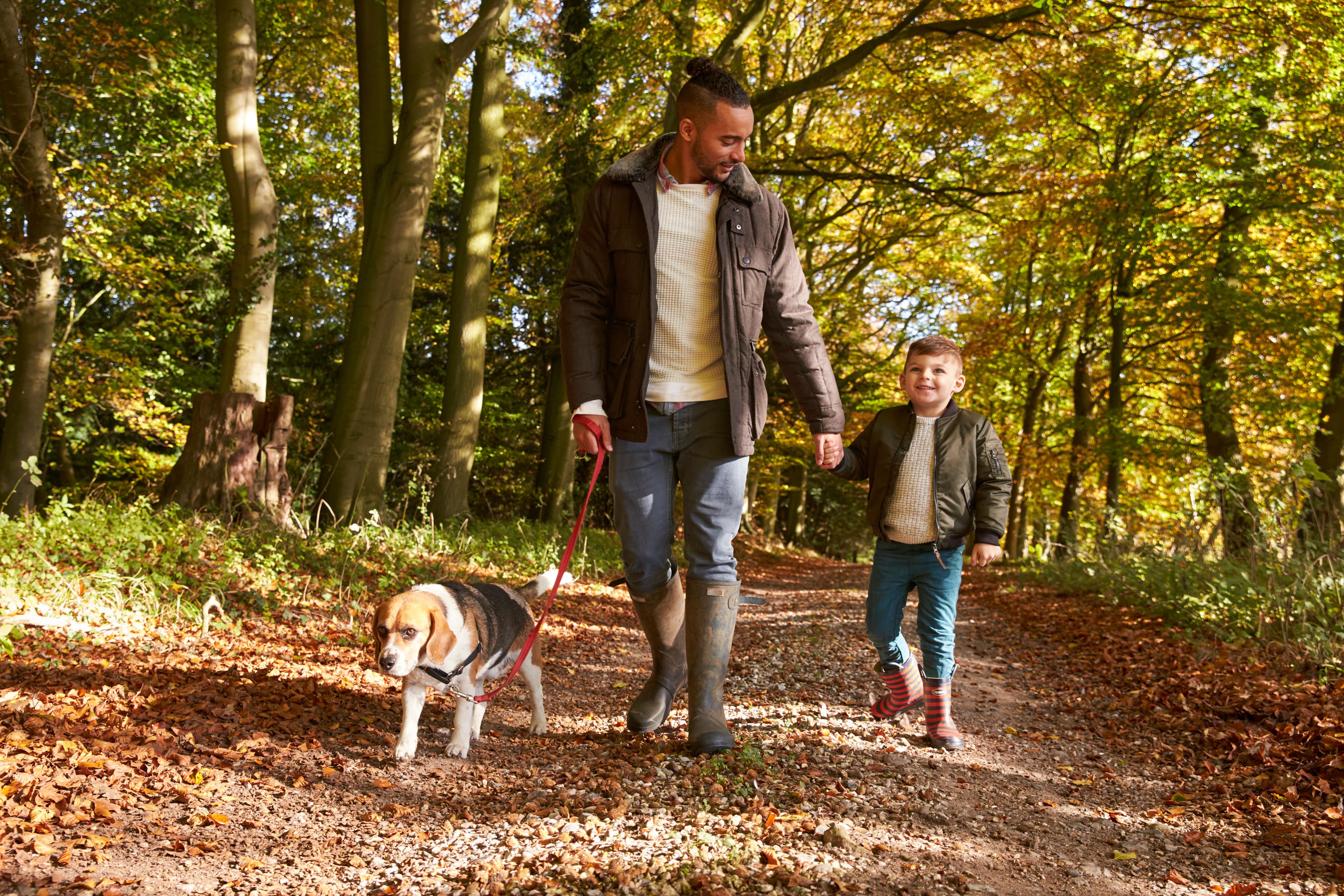 Dad, son, and dog in woods